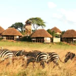 Apoka Safari Lodge, Narus Valley