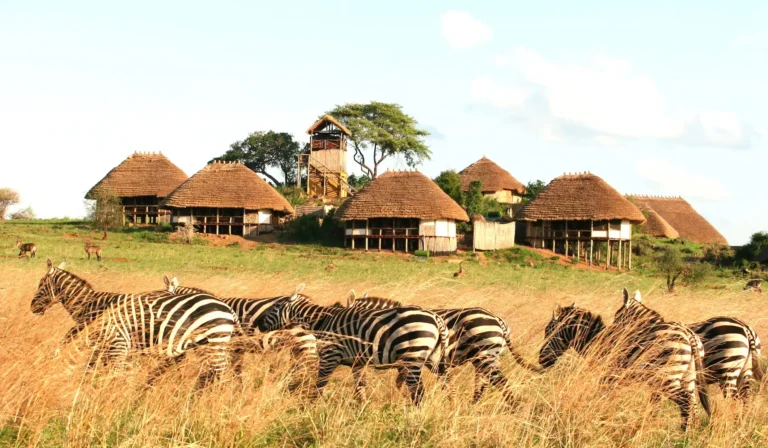 Apoka Safari Lodge, Narus Valley