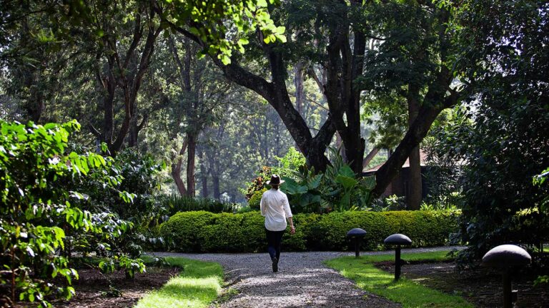 Arusha Coffee Lodge, Burka coffee estate
