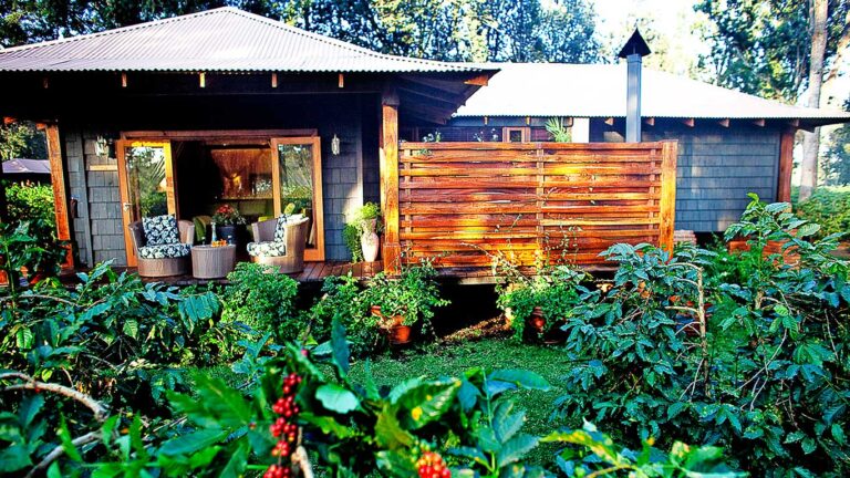 Arusha Coffee Lodge, Burka coffee estate
