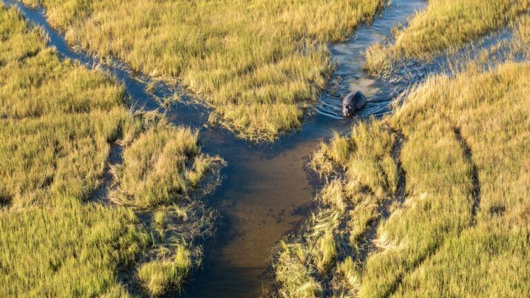 &Beyond Xaranna Okavango Delta Camp, Private concession, south-eastern Delta