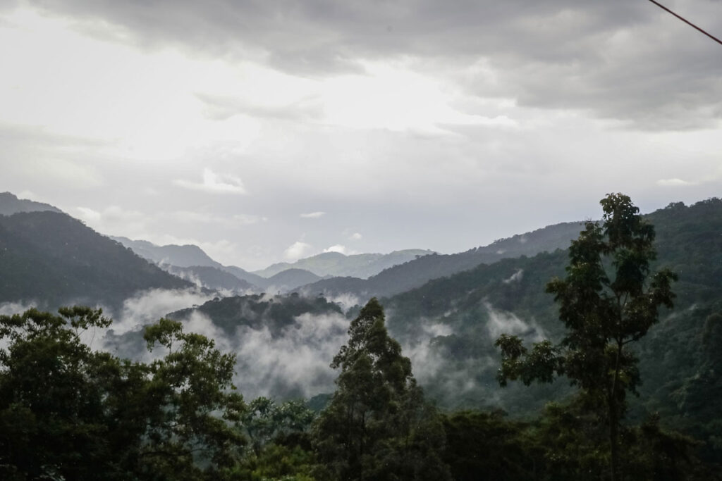 Bwindi Lodge, Buhoma sector