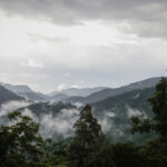 Bwindi Lodge, Buhoma sector