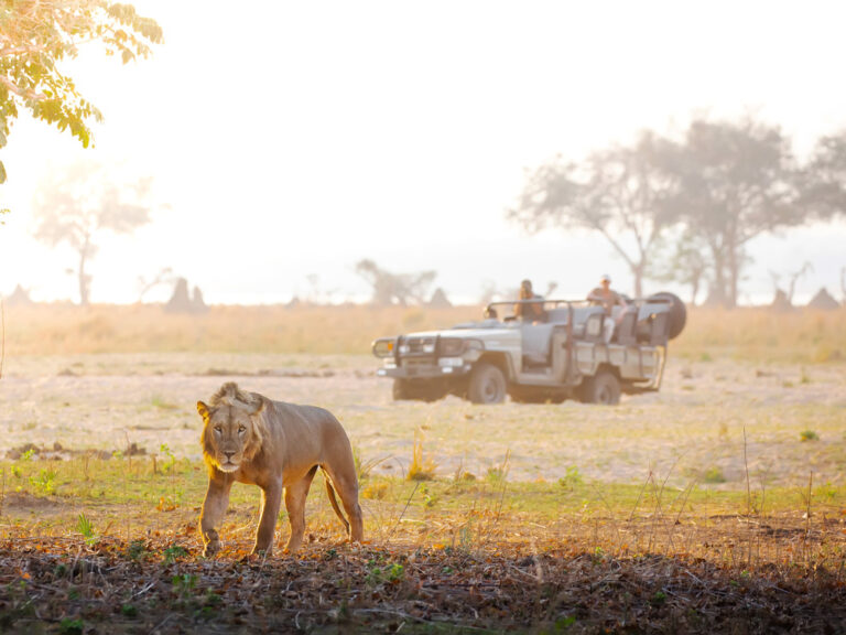 Chiawa Camp, Lower Zambezi riverfront