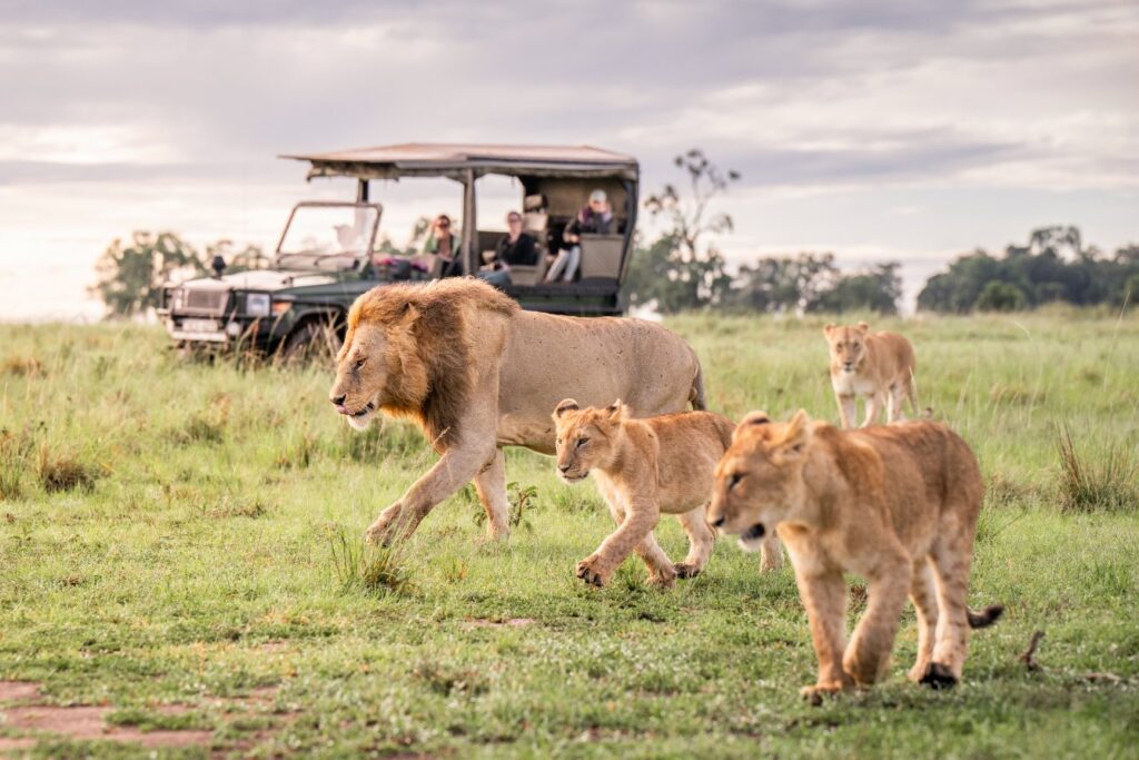 Governors’ Camp, Mara River