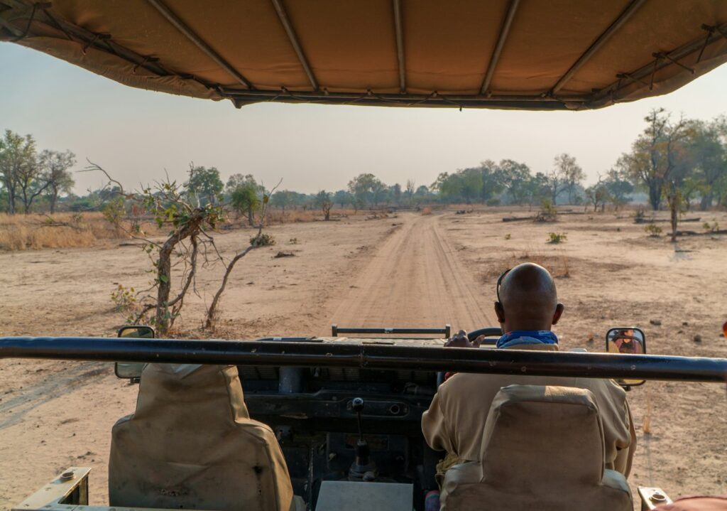 Safari guide driving an open vehicle along a dirt track in the bush