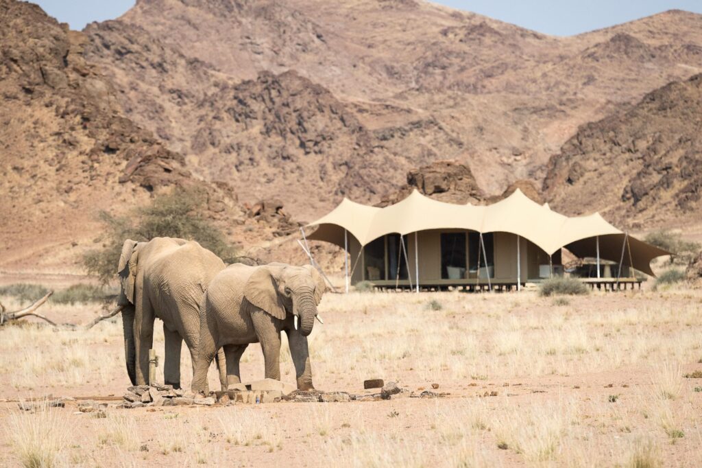 Hoanib Skeleton Coast Camp, Hoanib river valley