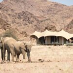 Hoanib Skeleton Coast Camp, Hoanib river valley