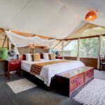 Ishasha Wilderness Camp, Ishasha sector