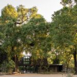 Lion Sands River Lodge, Sabie River, southern Sabi Sand