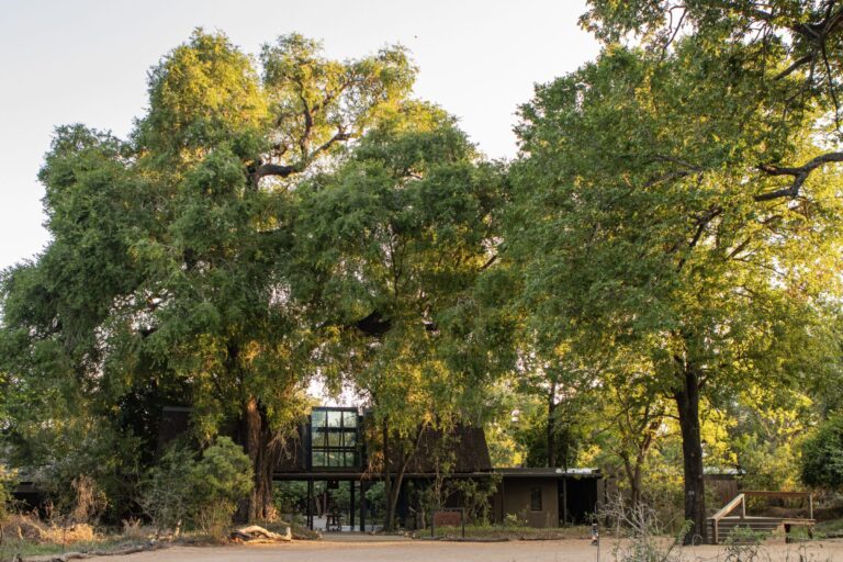 Lion Sands River Lodge, Sabie River, southern Sabi Sand