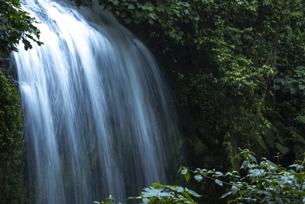 Forest waterfall on Mount Elgon