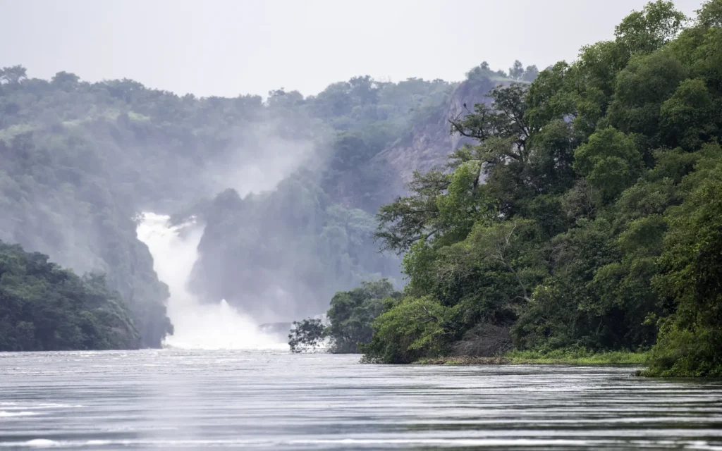 Murchison Falls seen from the Nile
