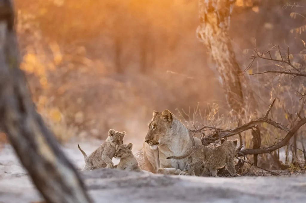 Onguma The Fort, Onguma Nature Reserve, eastern Etosha