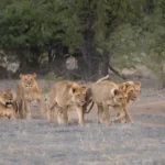 Onguma The Fort, Onguma Nature Reserve, eastern Etosha
