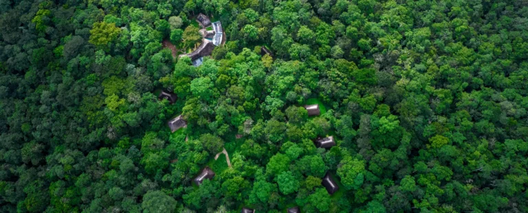 Primate Lodge Kibale, Kanyanchu