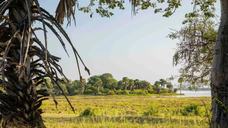 Roho ya Selous, Lake Nzerakera