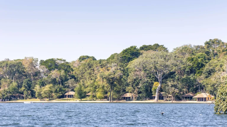Rubondo Island Camp, Lake Victoria shore