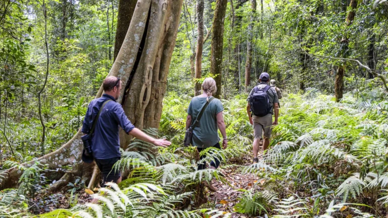 Rubondo Island Camp, Lake Victoria shore
