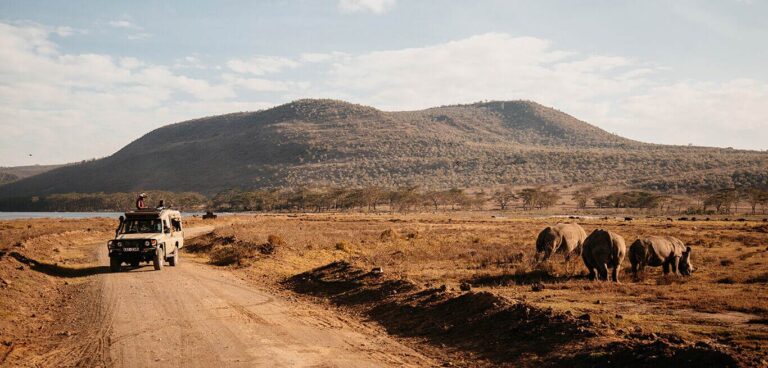 Sarova Lion Hill Game Lodge, Inside the park, eastern slopes