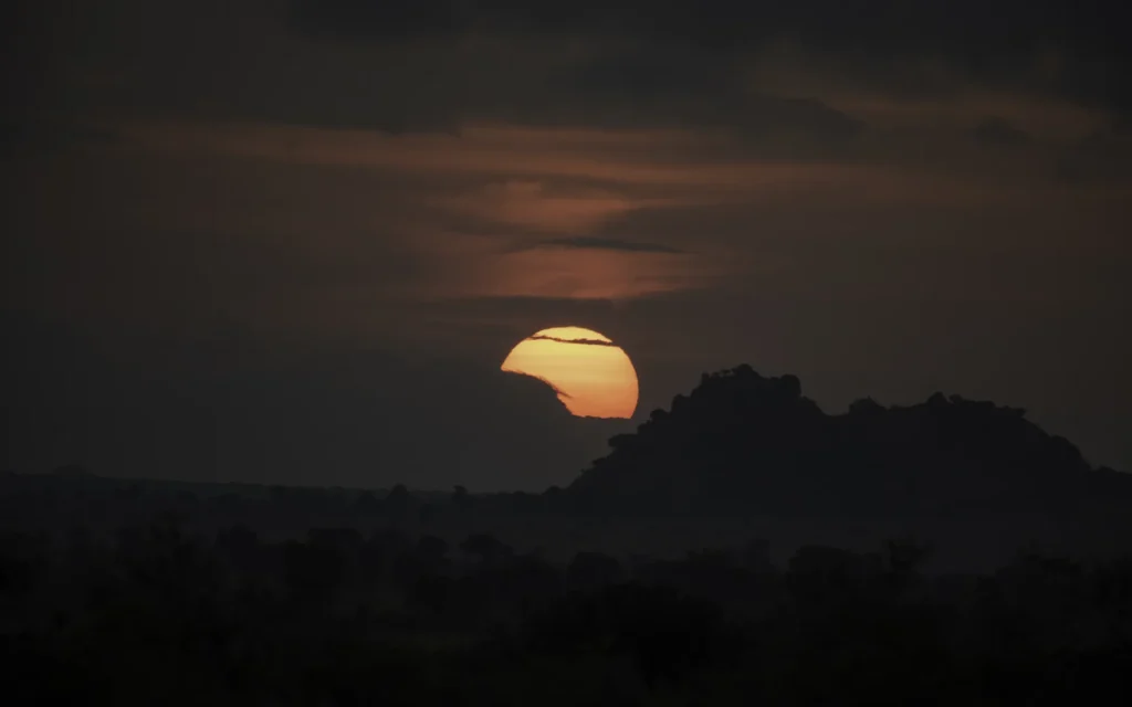 Sunset over the savannah