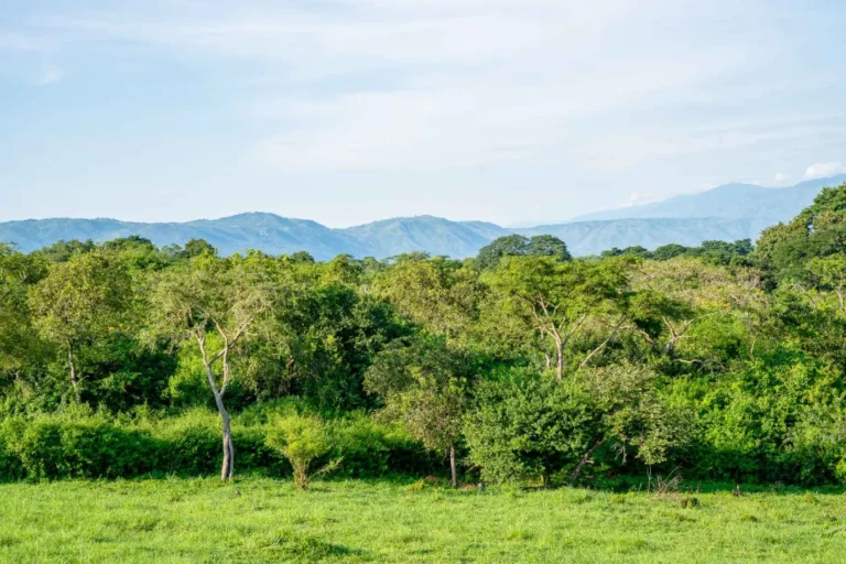 Semliki Safari Lodge, Semliki Valley