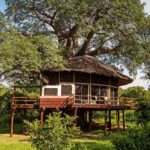 Tarangire Treetops, Randilen Wildlife Management Area