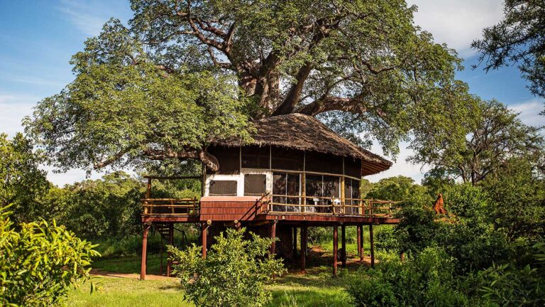 Tarangire Treetops, Randilen Wildlife Management Area