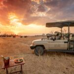 The Hide Safari Camp, Eastern Hwange