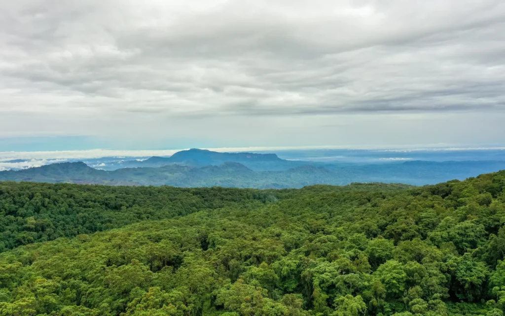 Forested slopes of Mount Elgon National Park