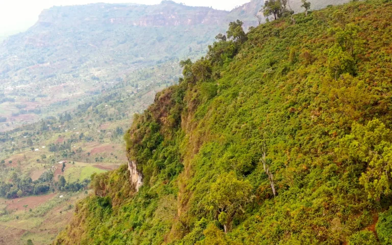 Valley seen from a cliff edge in Mount Elgon National Park
