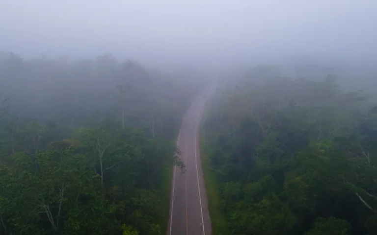 Road through misty forest in Kibale National Park