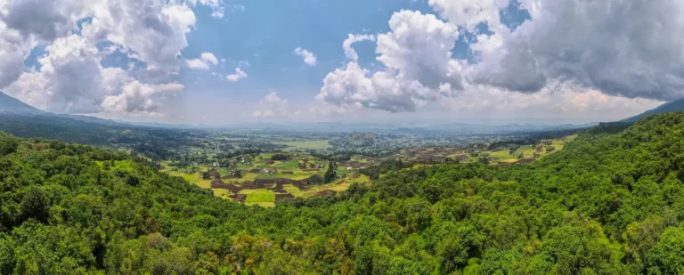 View over green farmland from Mgahinga Gorilla National Park