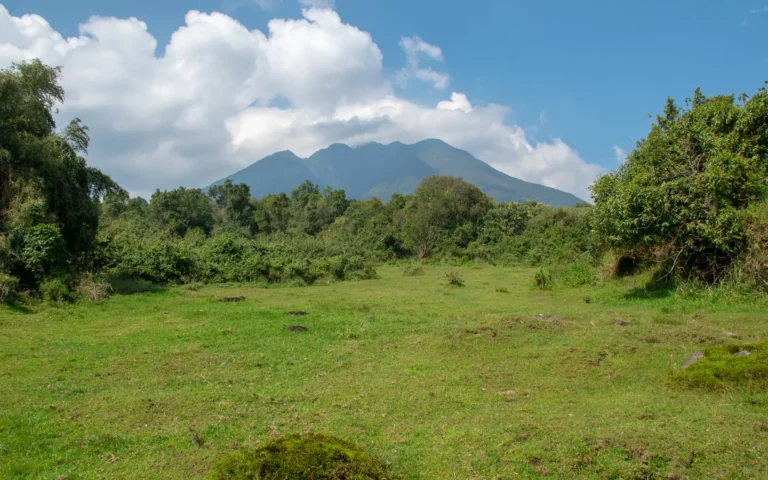 Volcano rising above a green meadow in Mgahinga Gorilla National Park