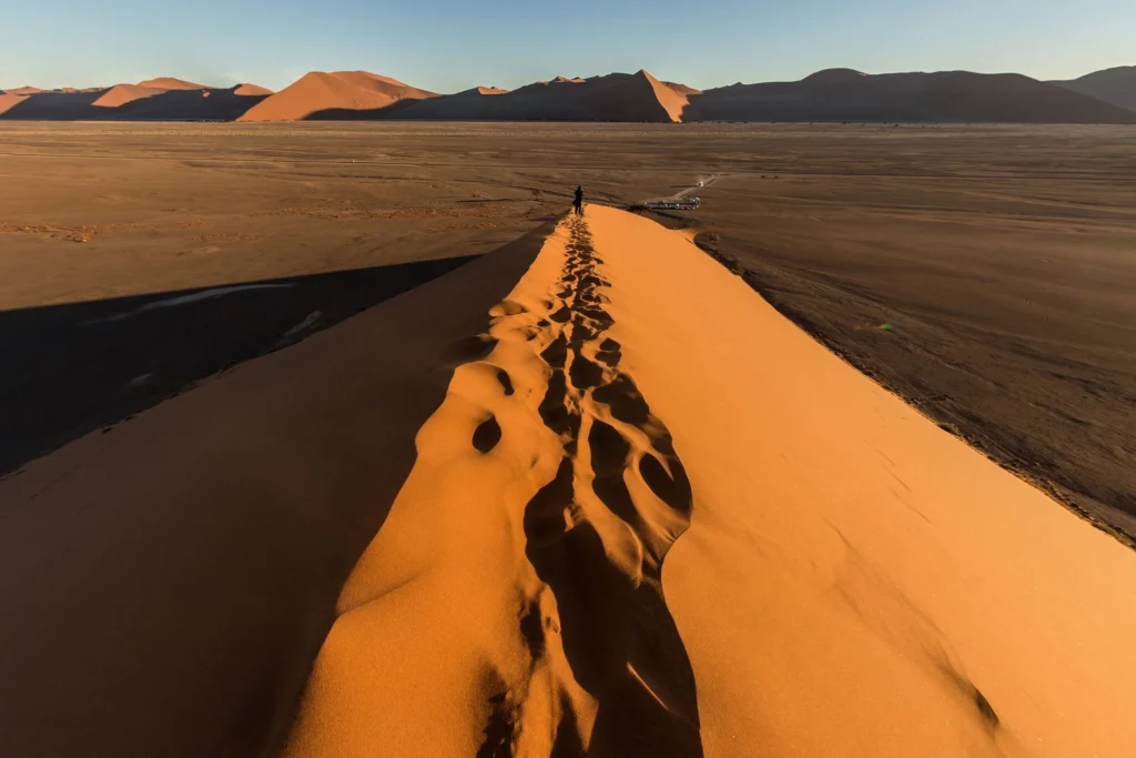 Sunlit dunes of the Namib Desert