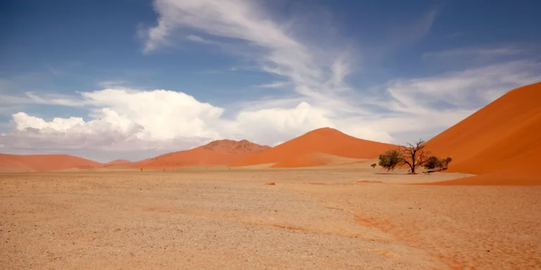Towering red sand dunes in the Namib Desert